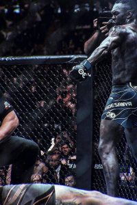 Live MMA and UFC fights streaming on IPTV USA