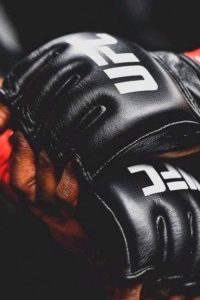 UFC and MMA events streaming live on IPTV USA